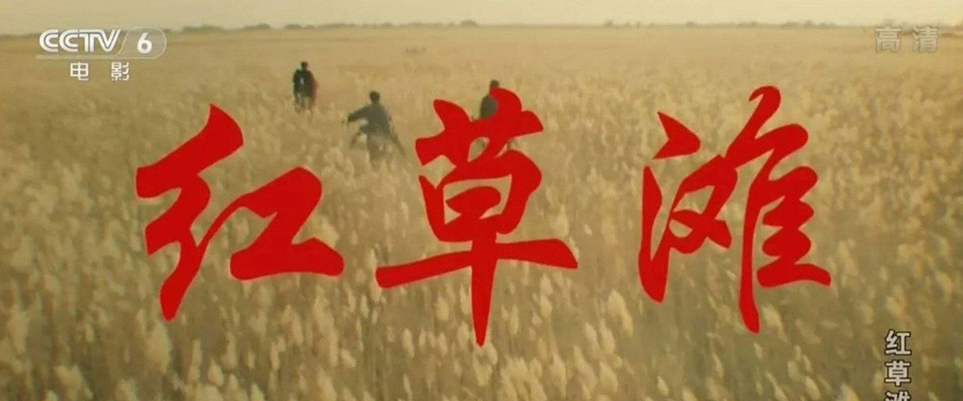红草滩's banner image