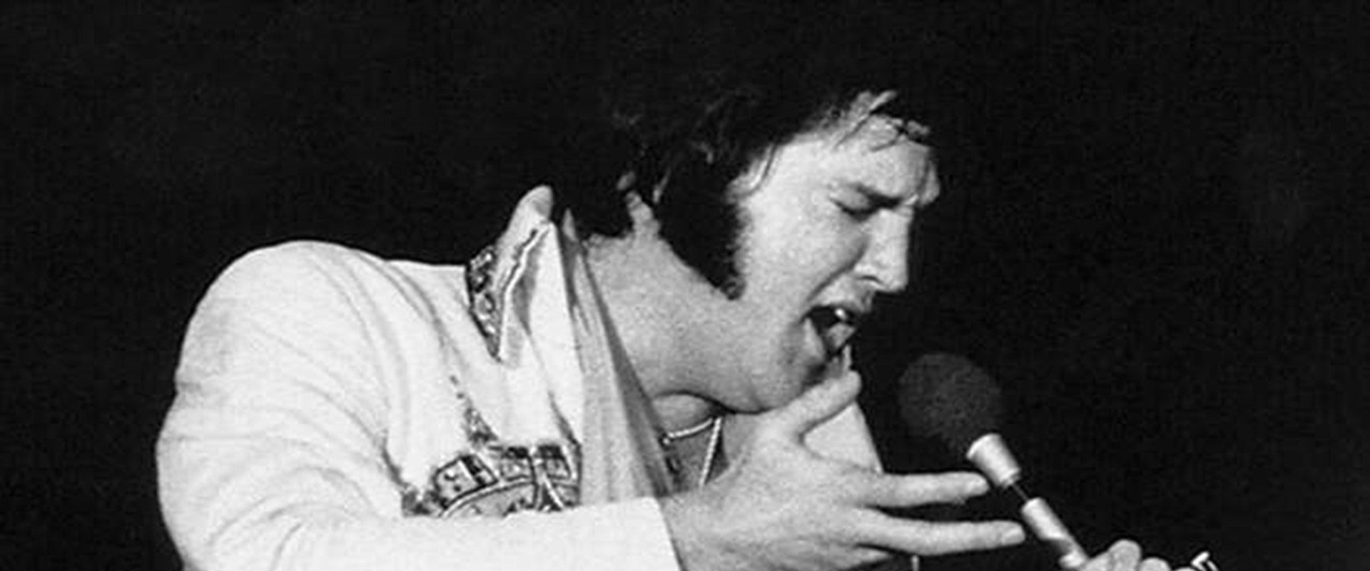 Elvis: The Rebirth of the King's banner image