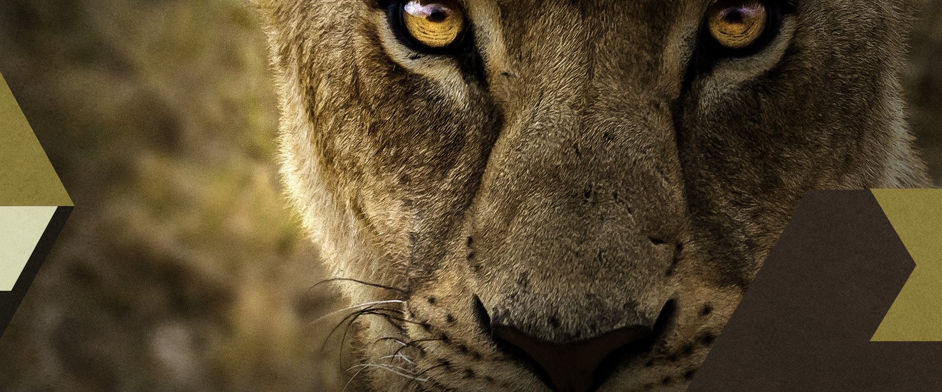 Malika the Lion Queen