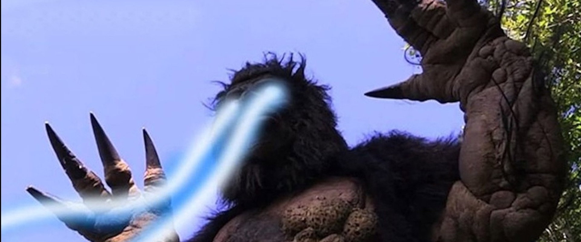 Zillafoot's banner image