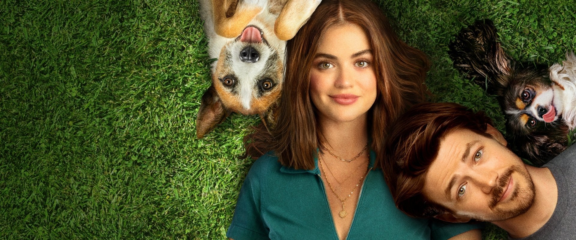 Puppy Love (Movie, 2023)