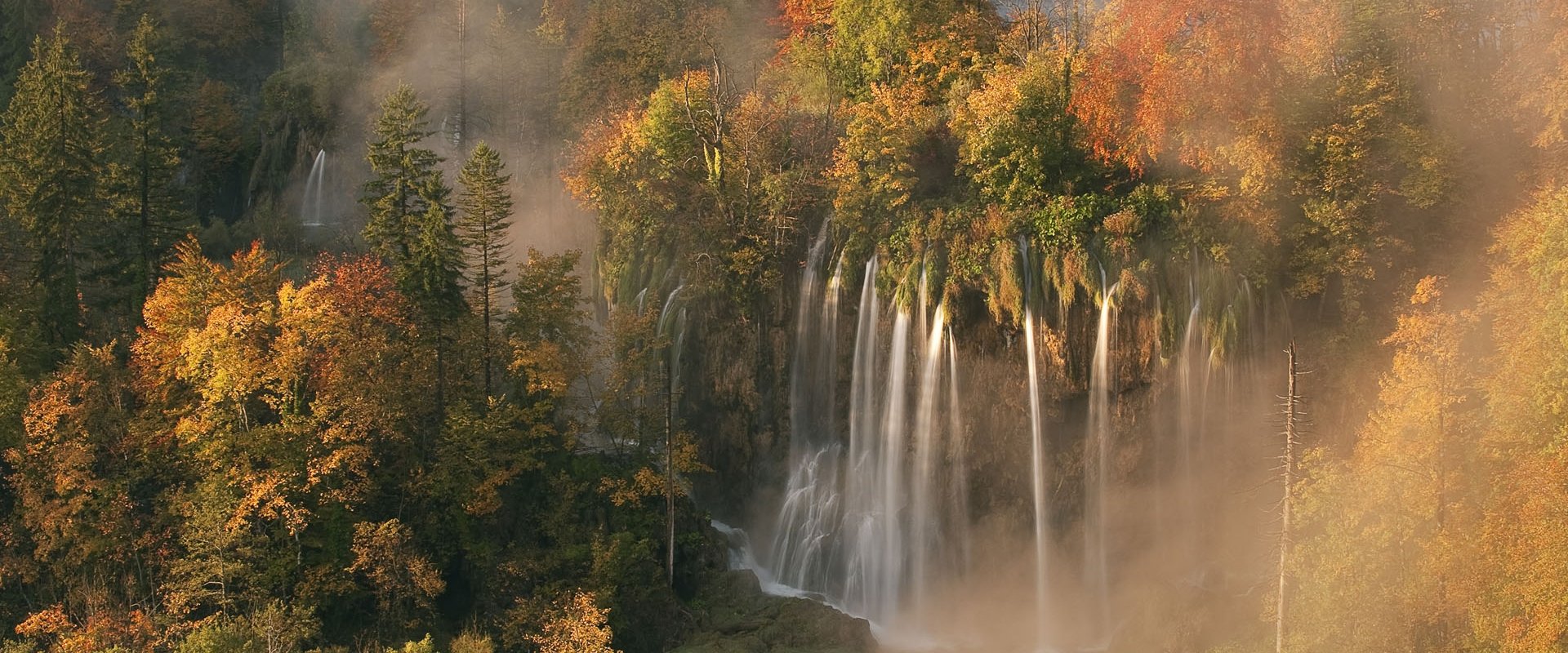 Wild Europe