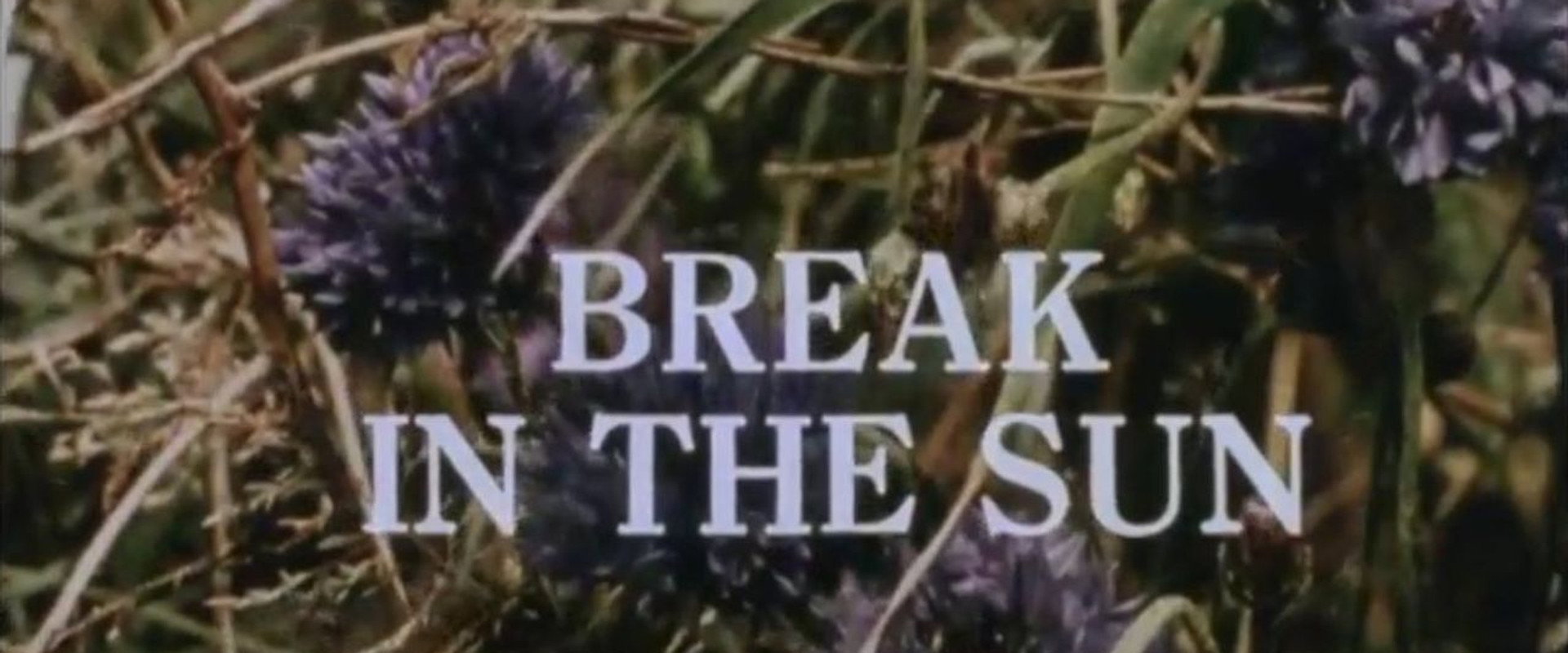 Break in the Sun's banner image