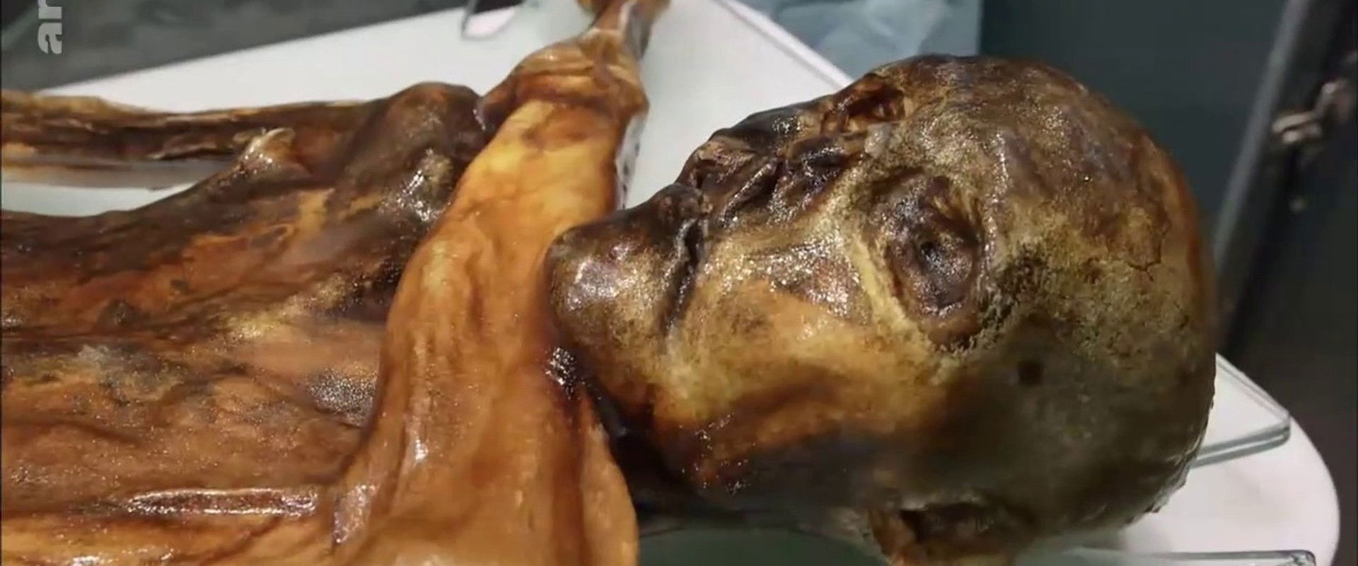 NOVA: Iceman Reborn's banner image