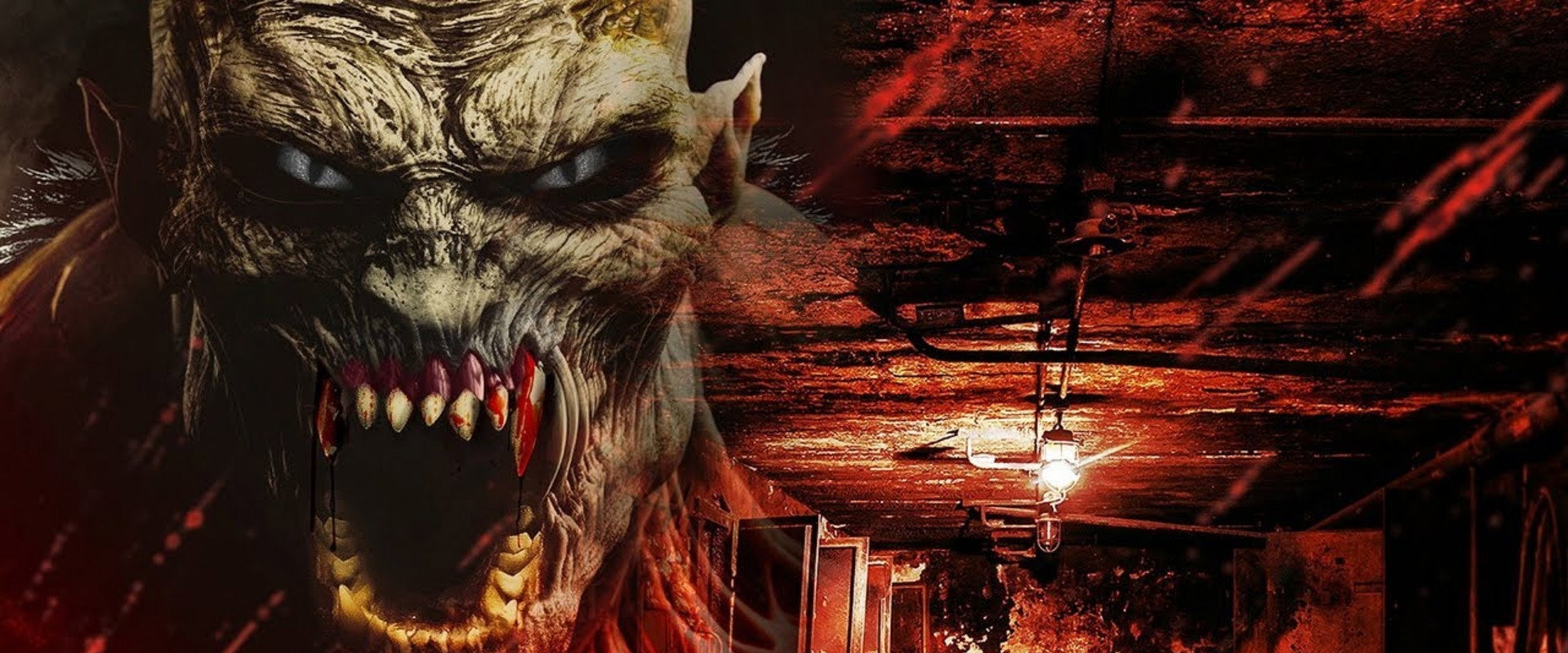 Bait — imagen panoramica