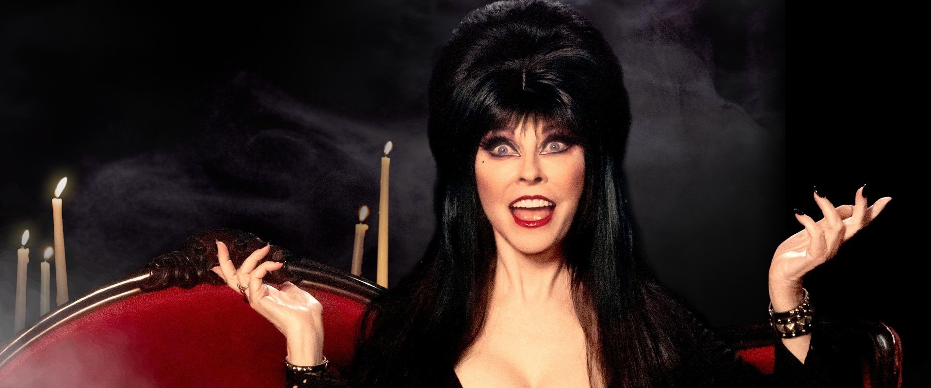 Elvira's 40th Anniversary, Very Scary, Very Special Special
