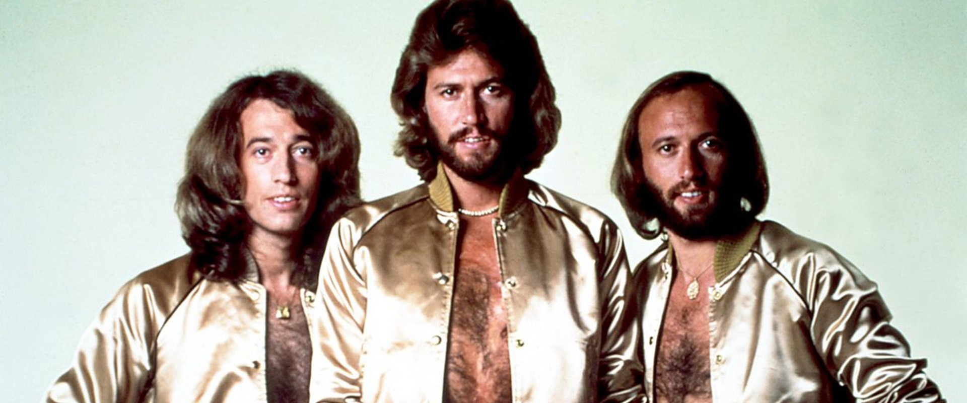 The Joy of the Bee Gees