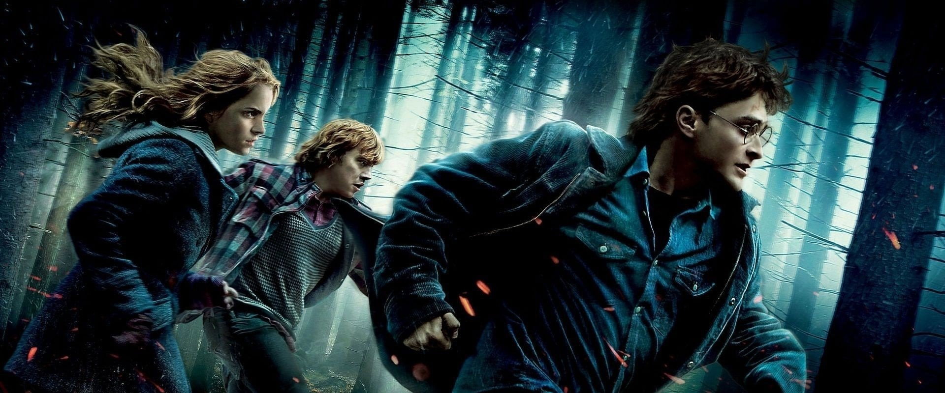 Harry Potter y las reliquias de la muerte (1ª parte) — imagen panoramica