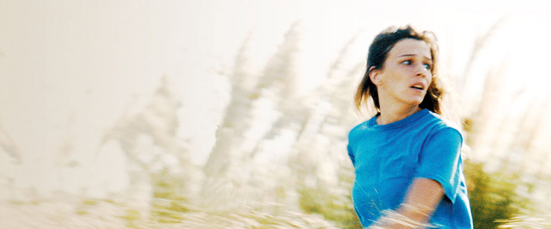 Geronimo's banner image