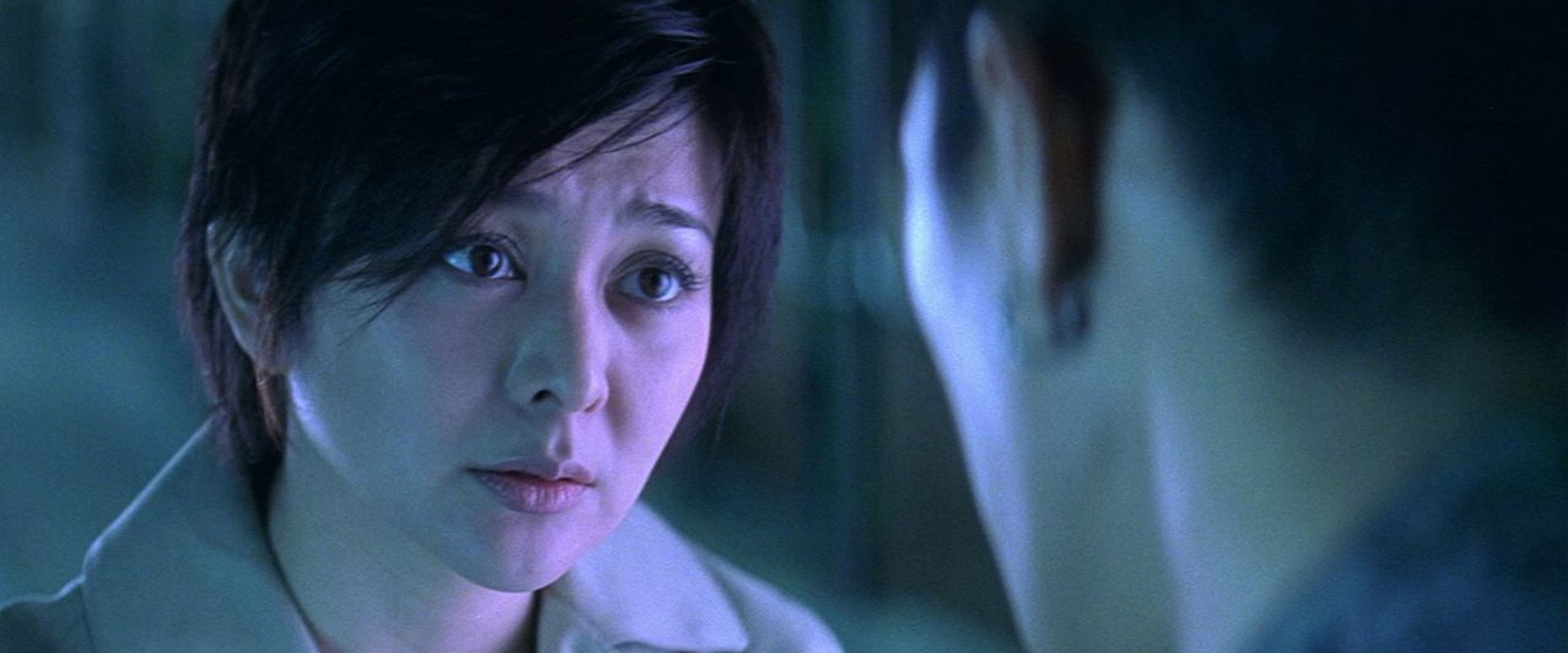 The Wesley's Mysterious File's banner image