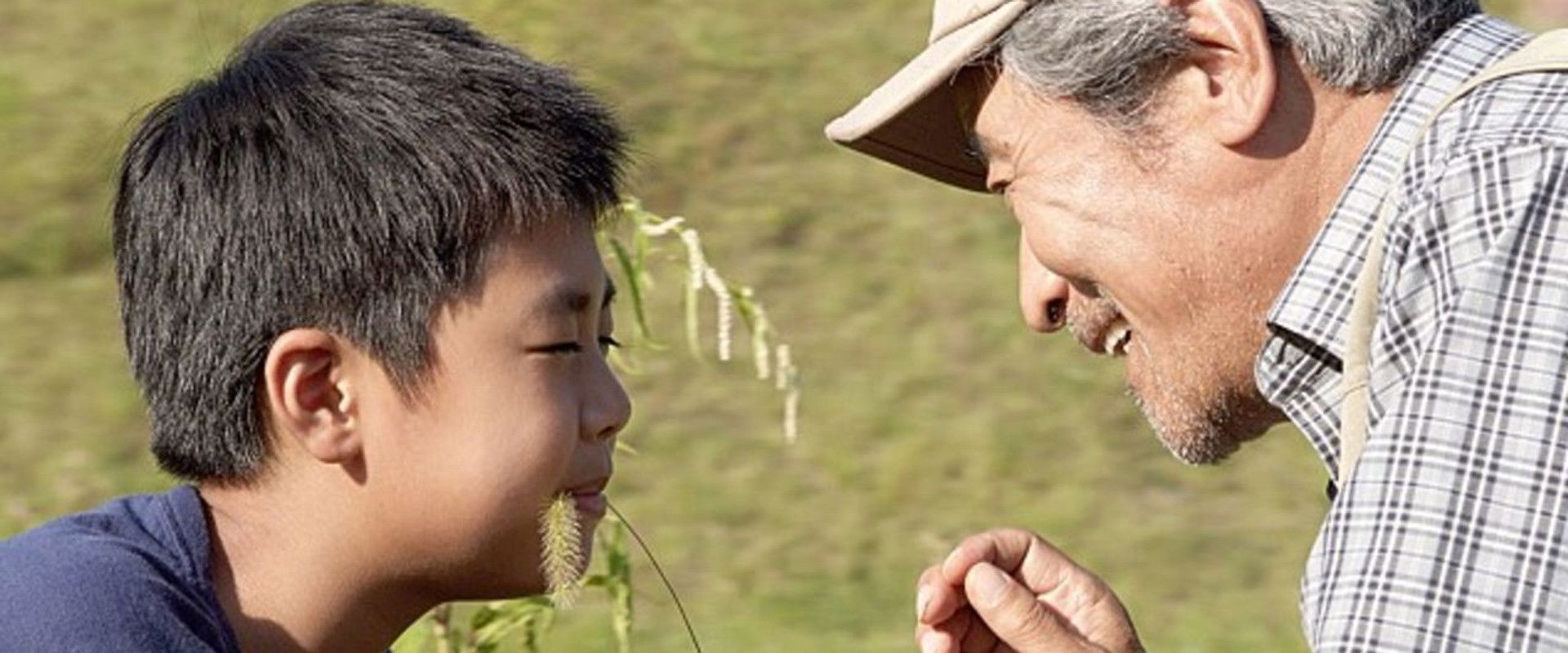 Old Bicycle's banner image