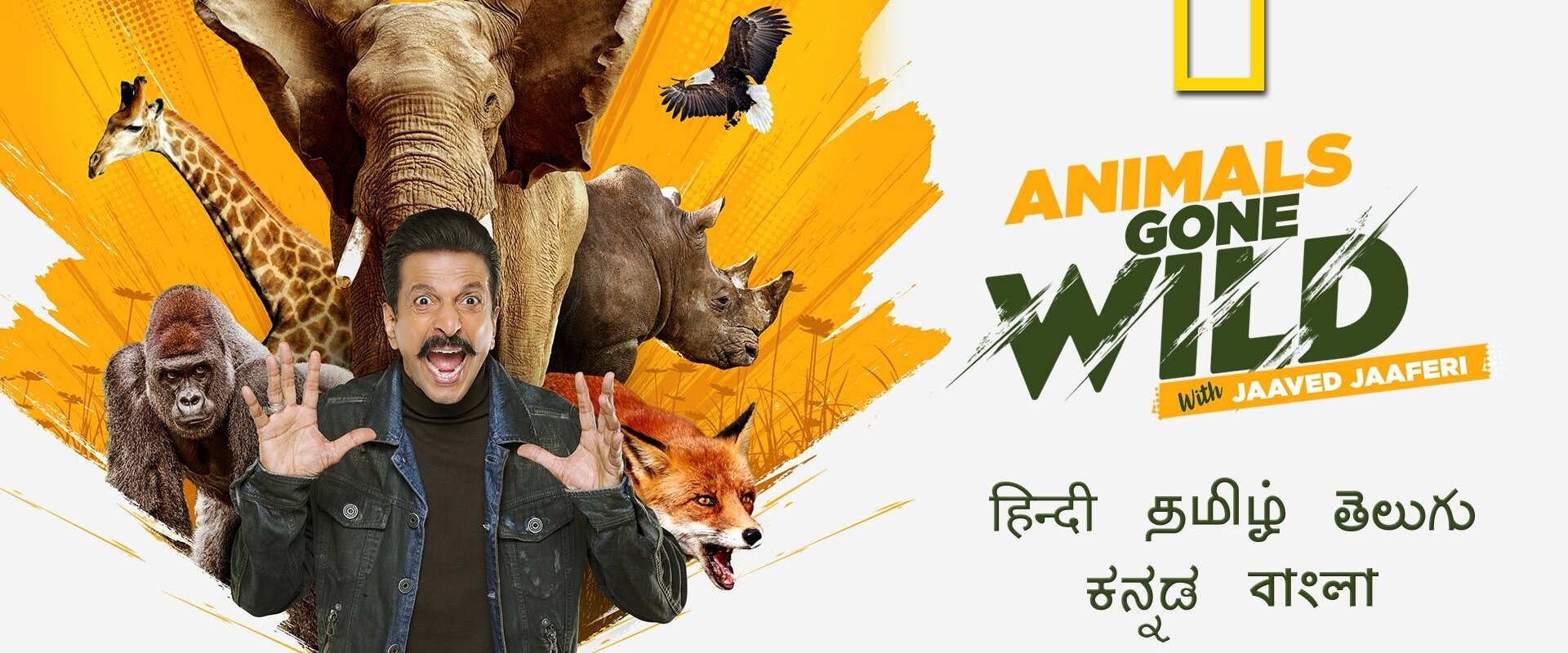 Animals Gone Wild With Jaaved Jaaferi