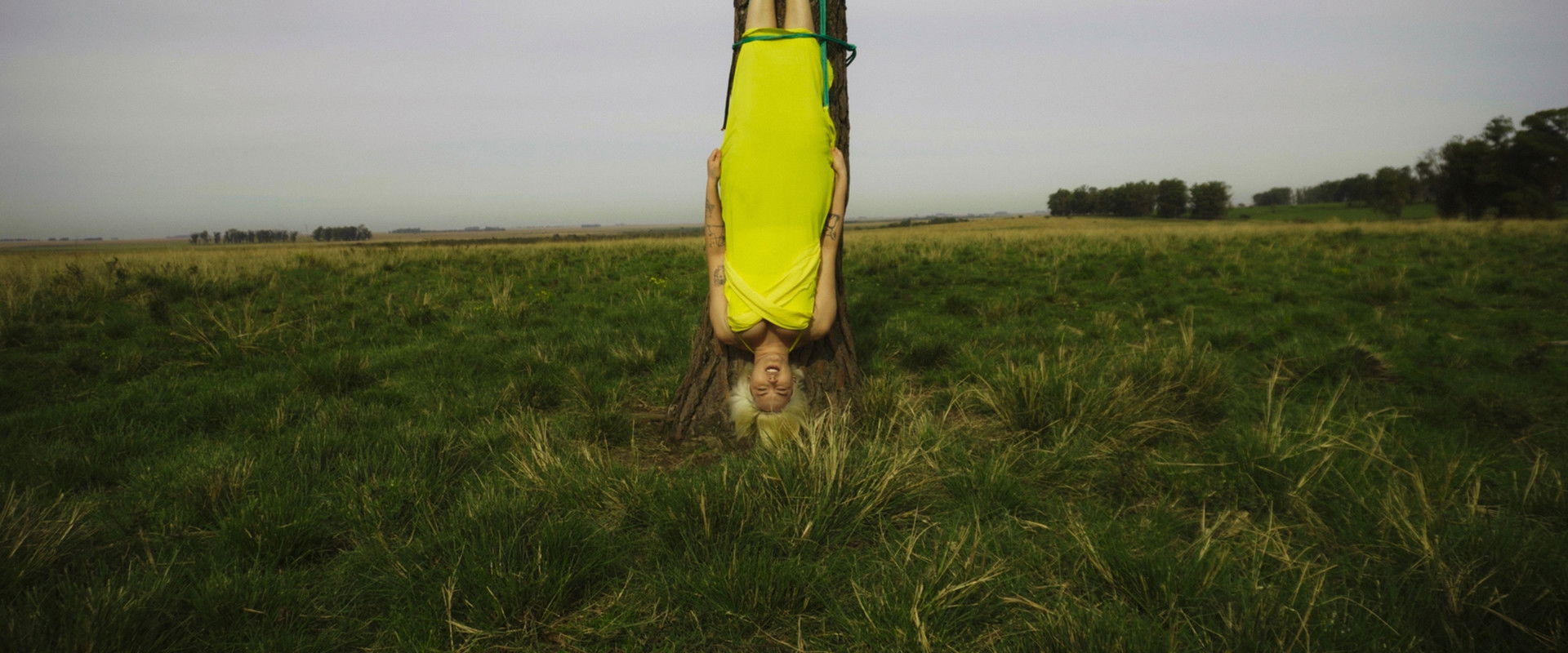 Estrelando Marta's banner image