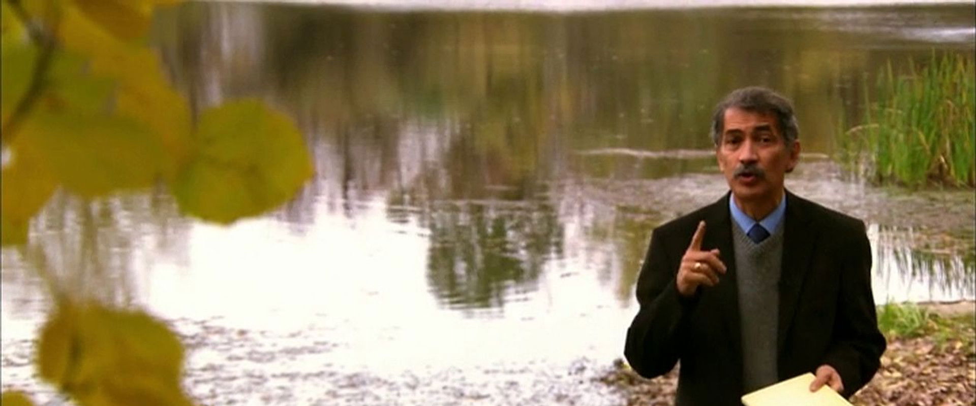 The History of Hungary