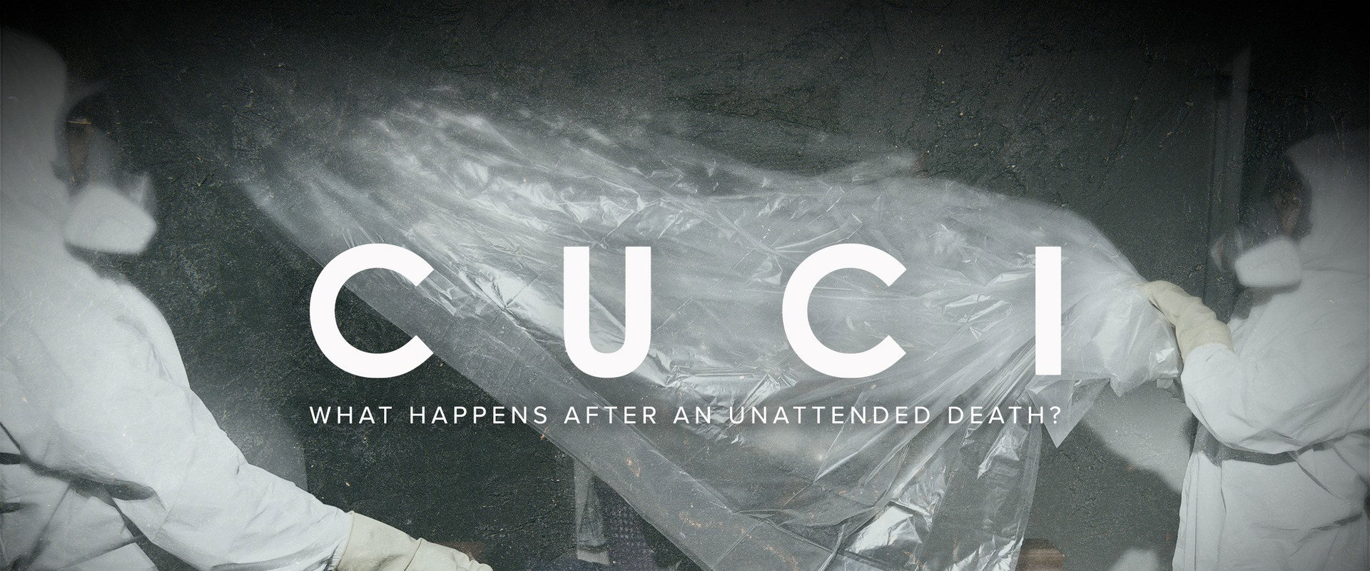 Cuci's banner image