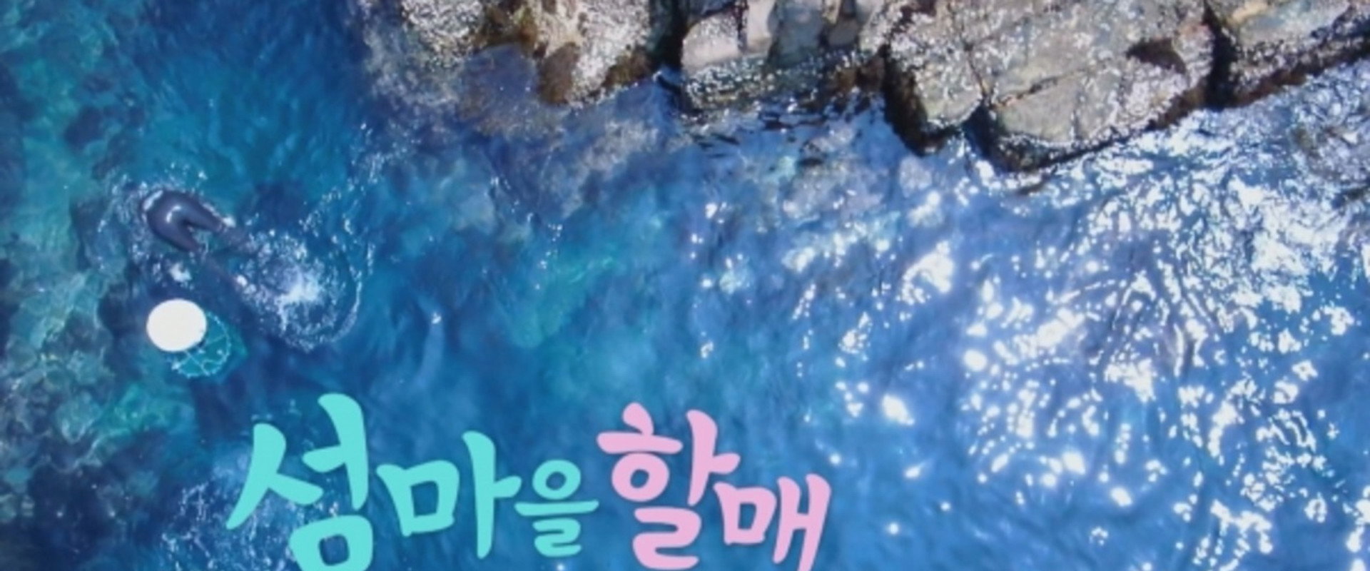 섬마을할매's banner image