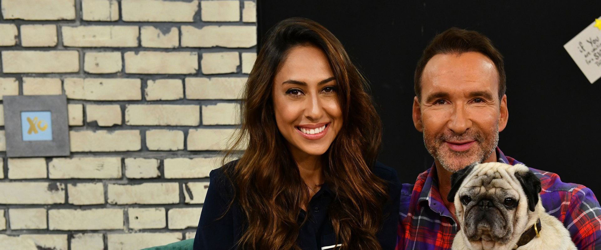 Promi Big Brother - Die Late Night Show