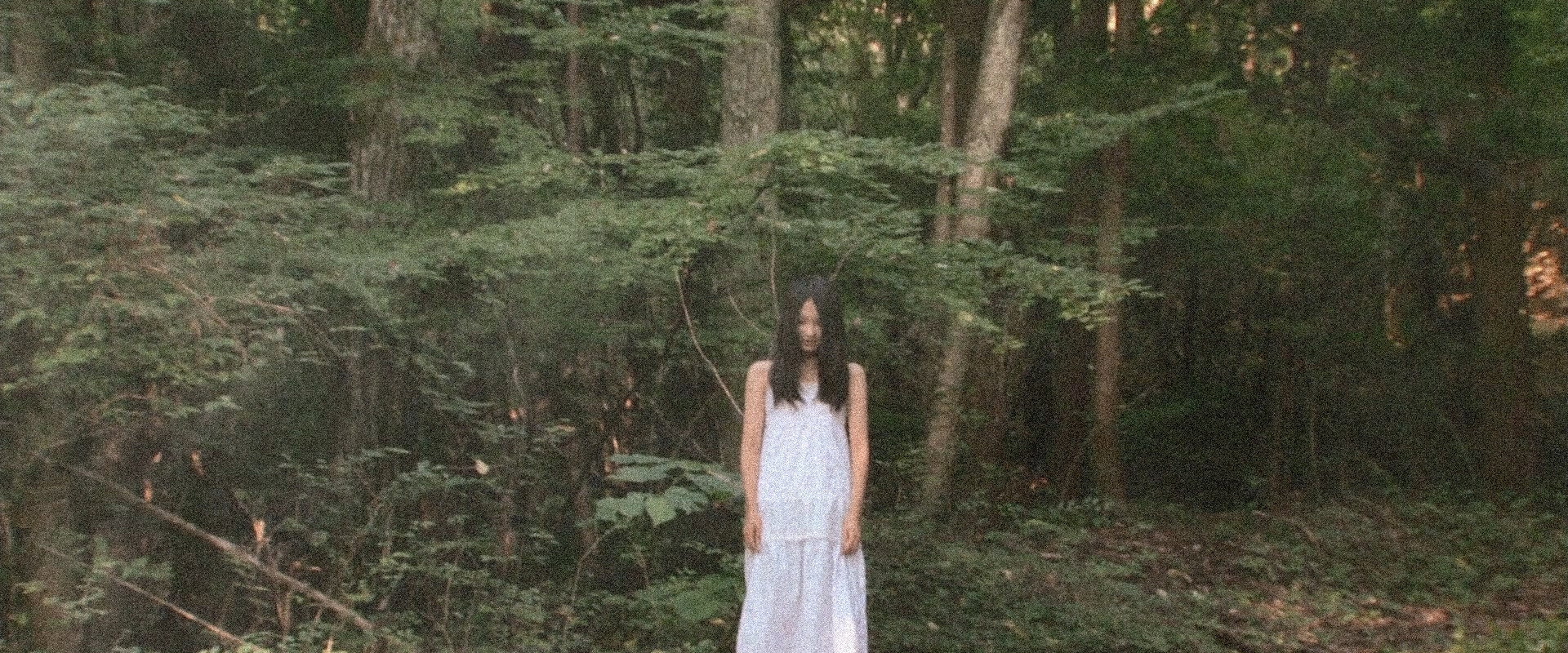 Kune Kune's banner image