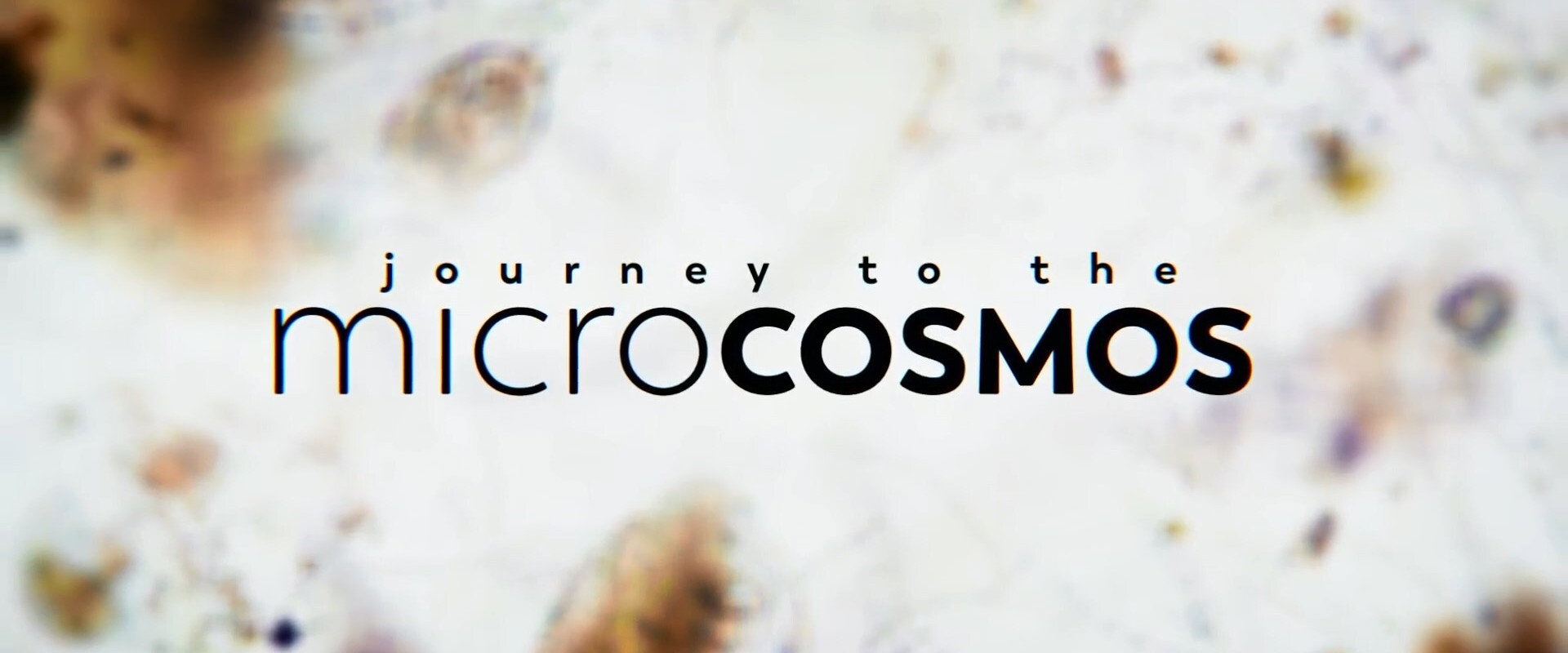 Journey to the Microcosmos