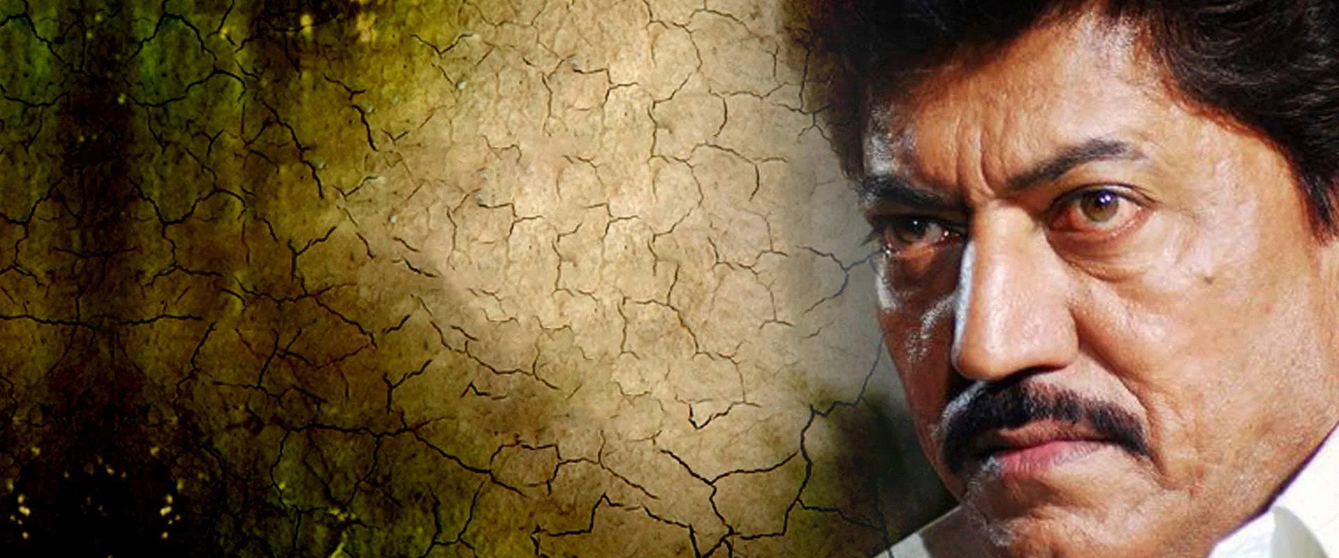 Anishchitha's banner image