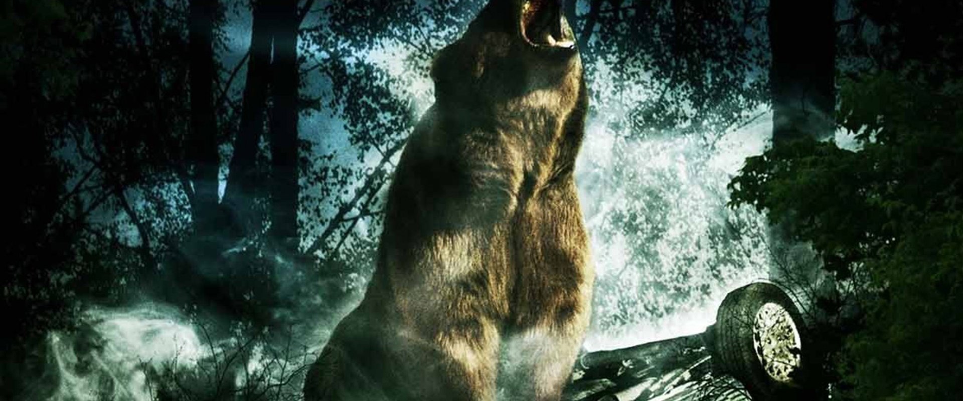 Bear