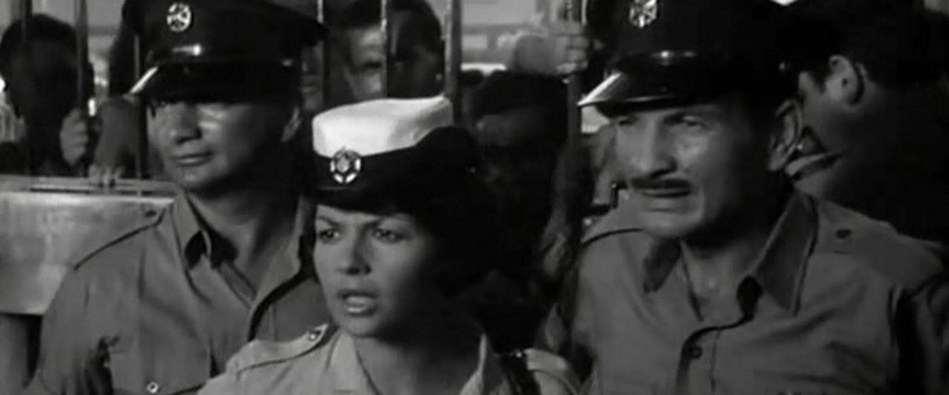 Ervinka's banner image