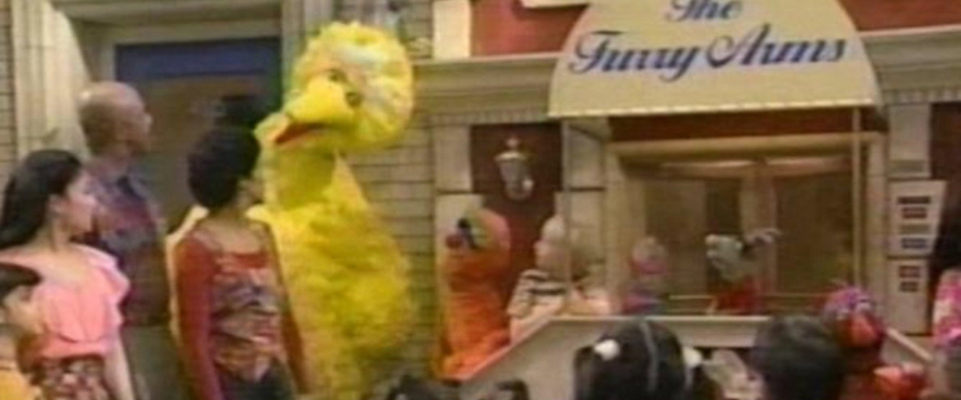 Sesame Street | All-Star 25th Birthday: Stars and Street Forever!'s banner image