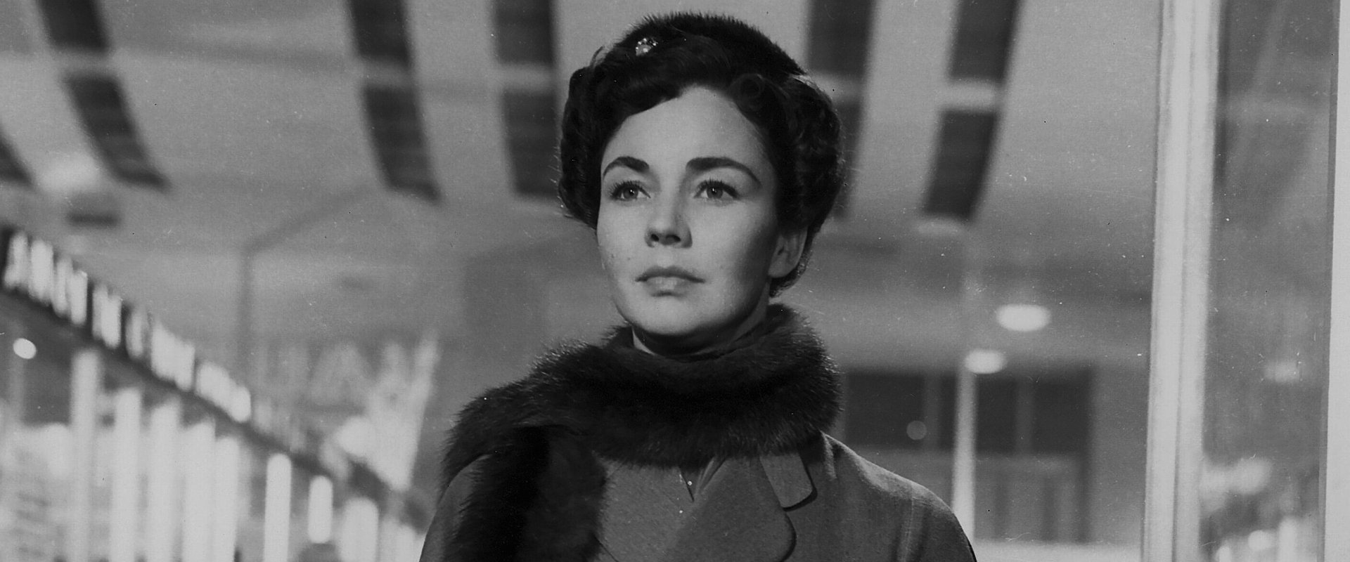 Indiscretion of an American Wife