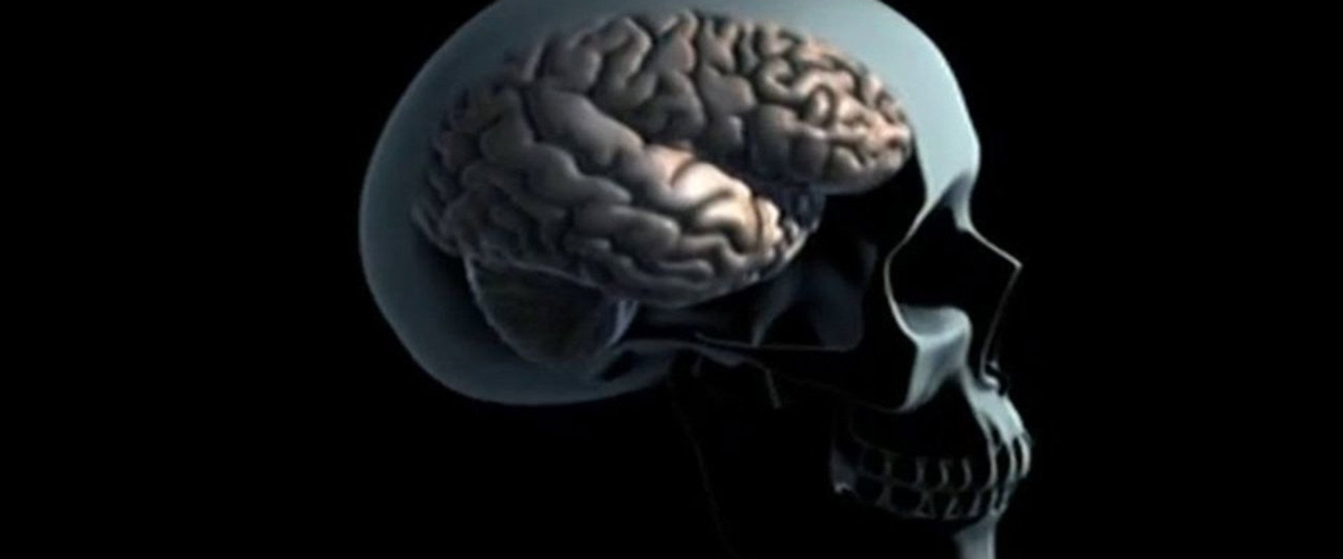 Drugs and Brain