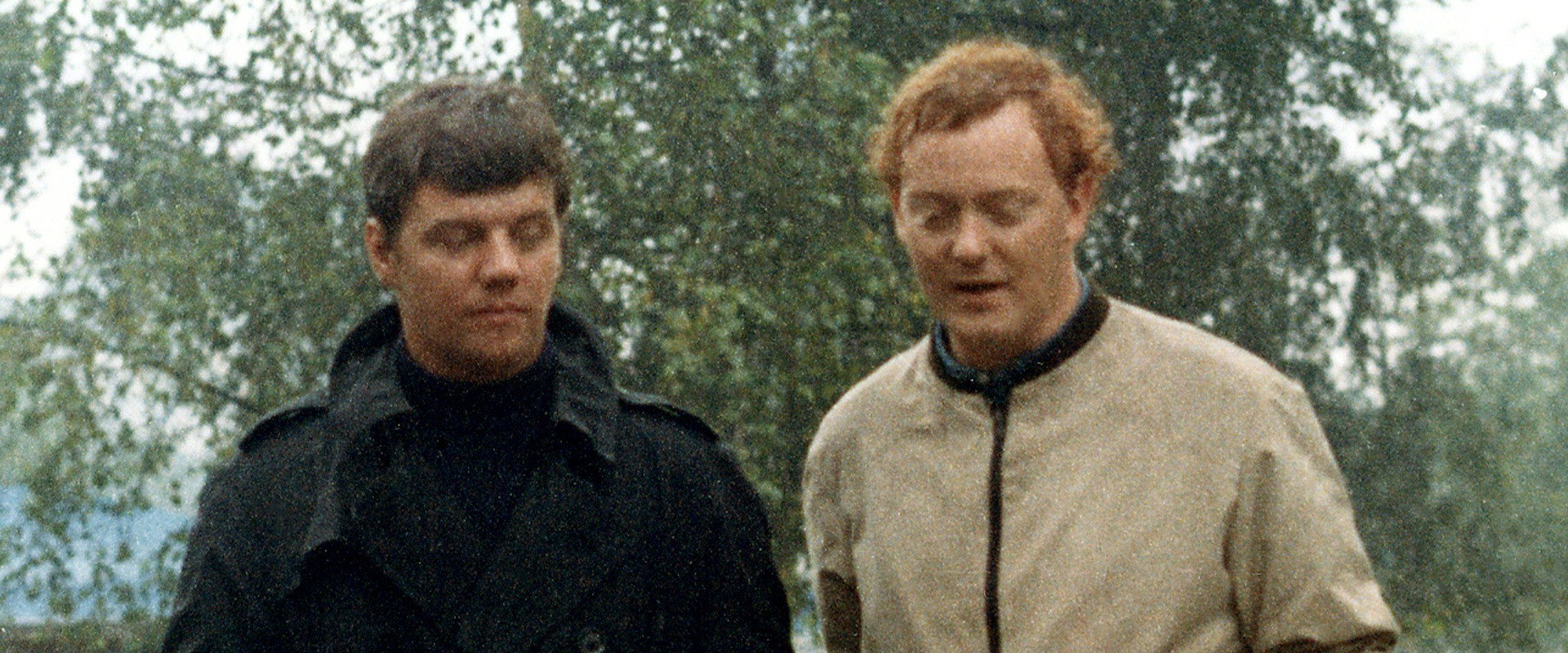 I den grønne skov's banner image