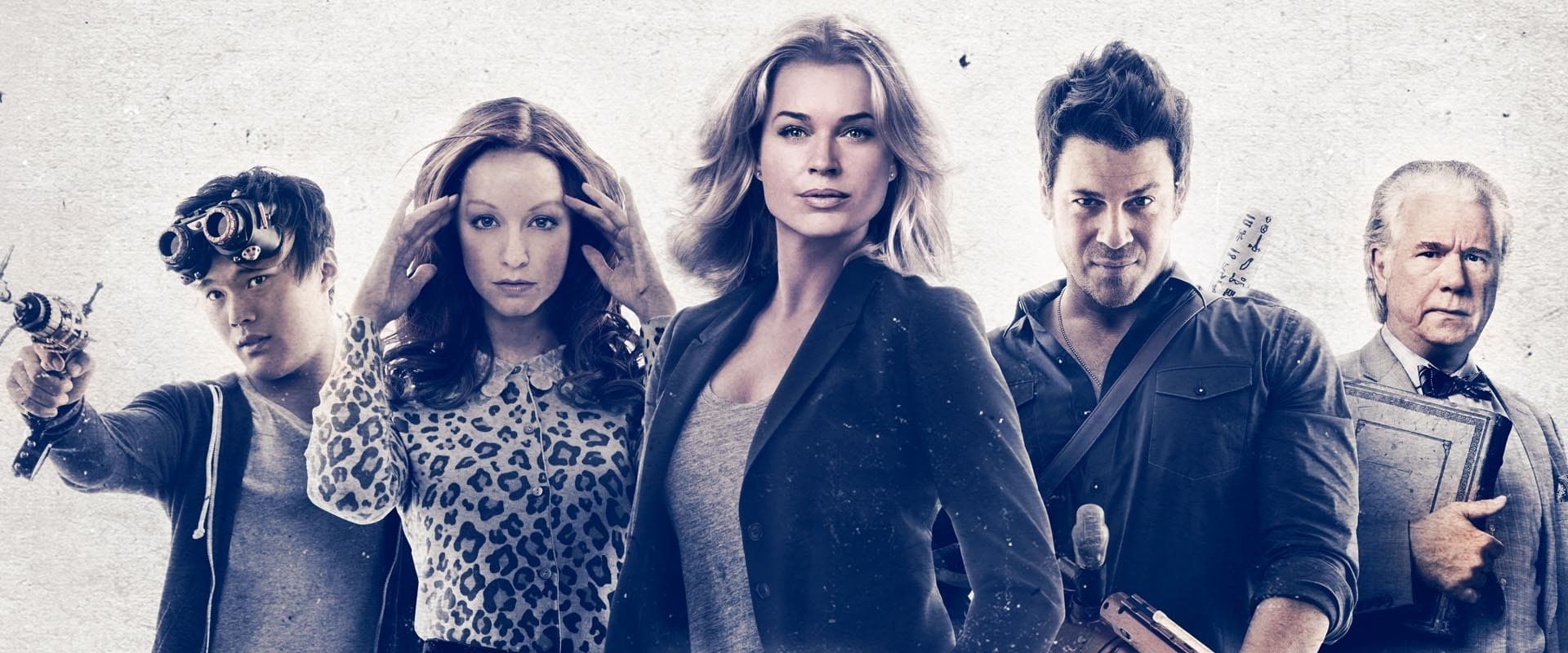 The Librarians