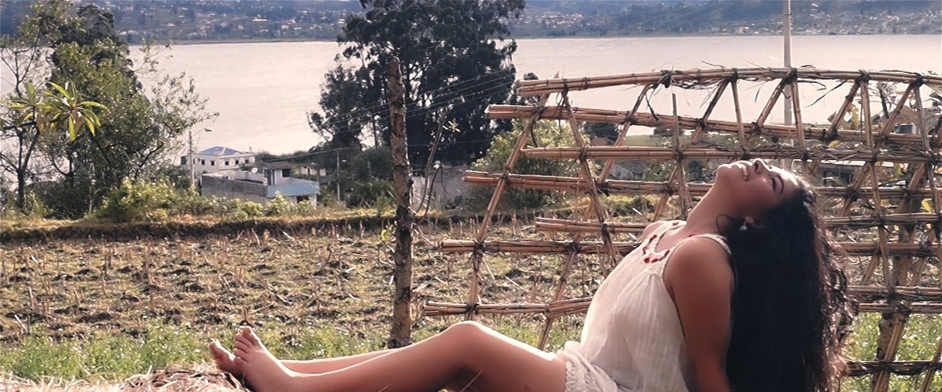 La chica del lago