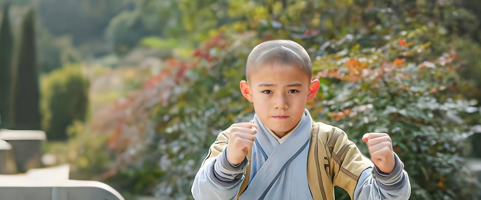 少林小子方世玉's banner image