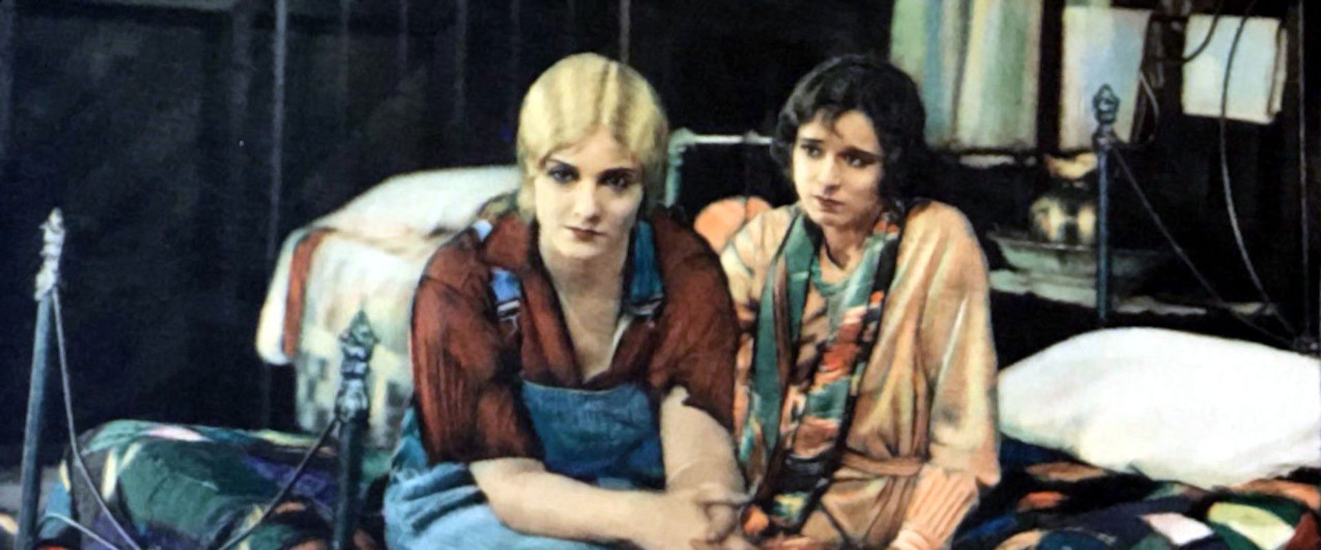 Wild Geese's banner image