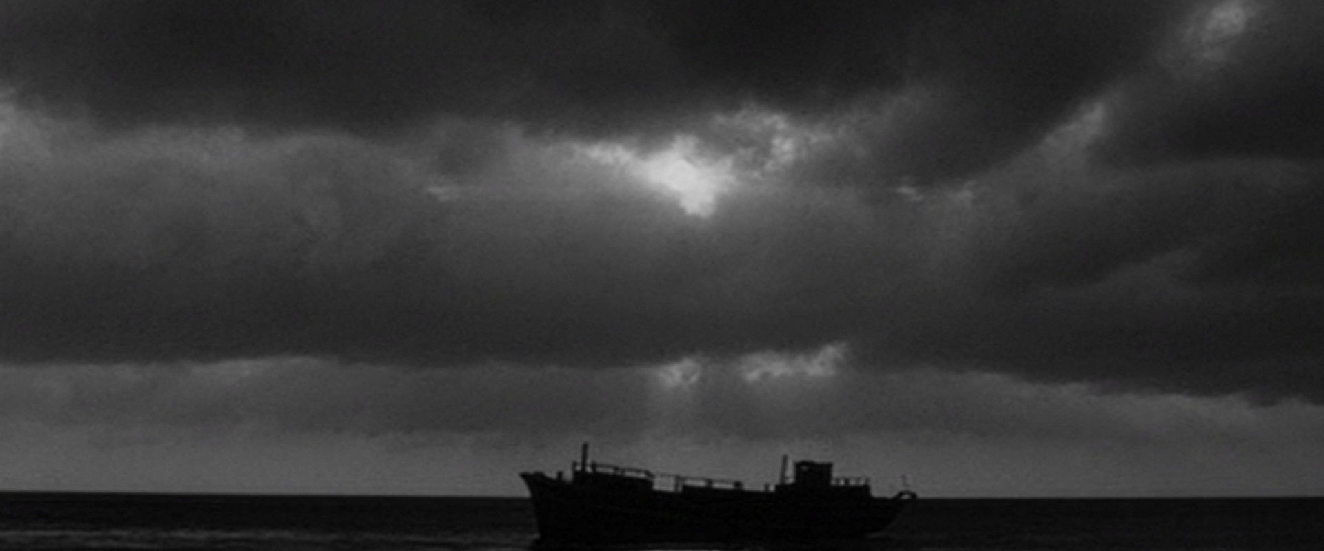 Human's banner image