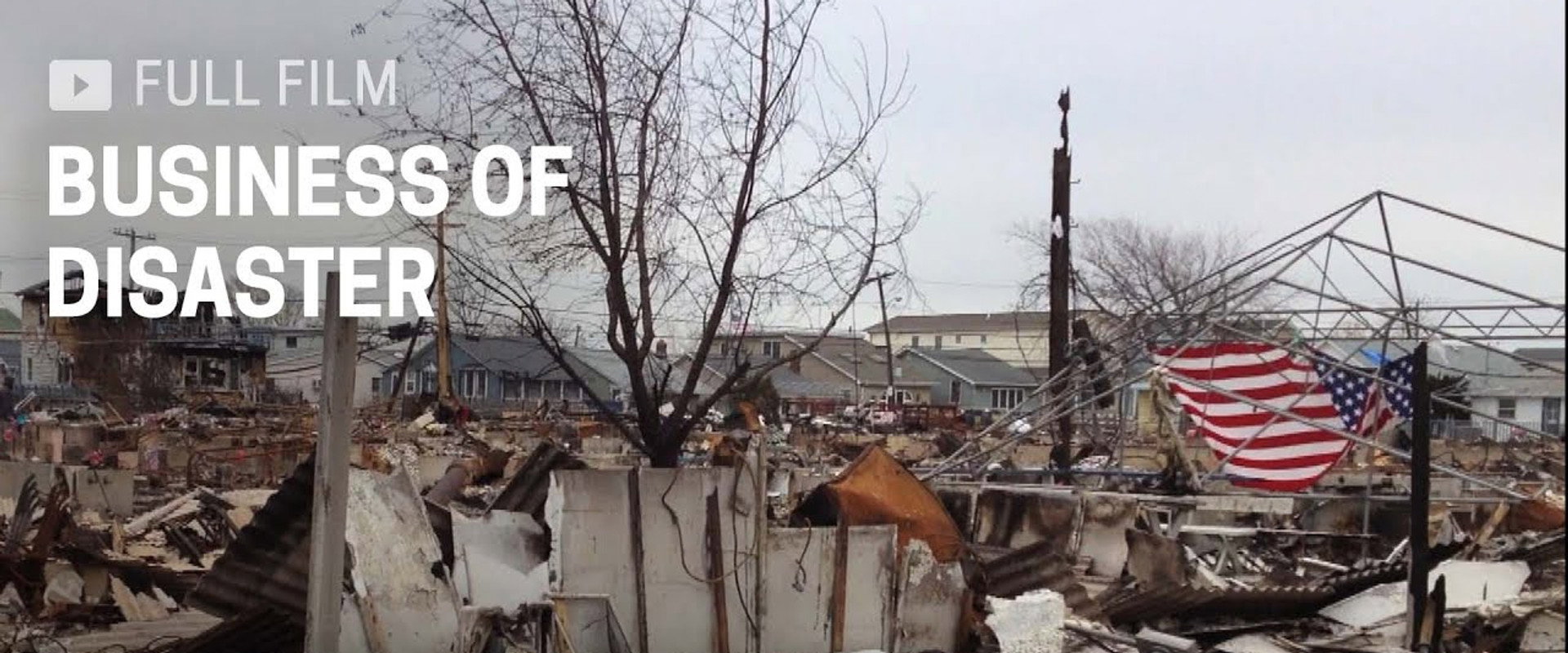 Business of Disaster's banner image