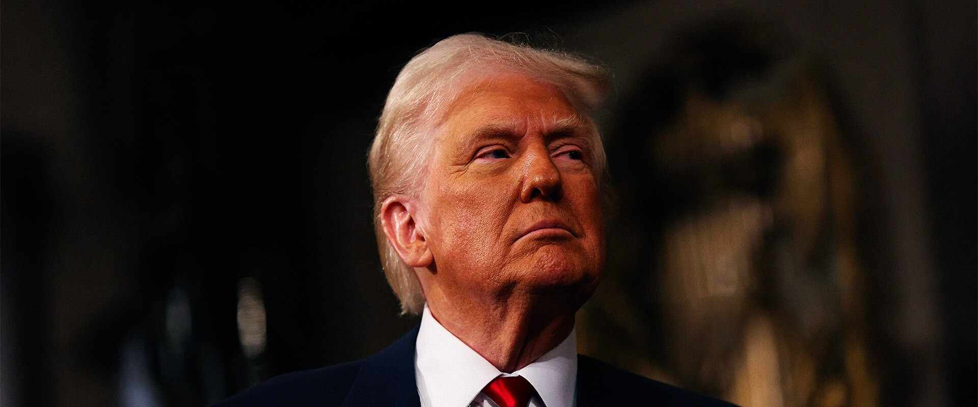 The Donald Trump Show