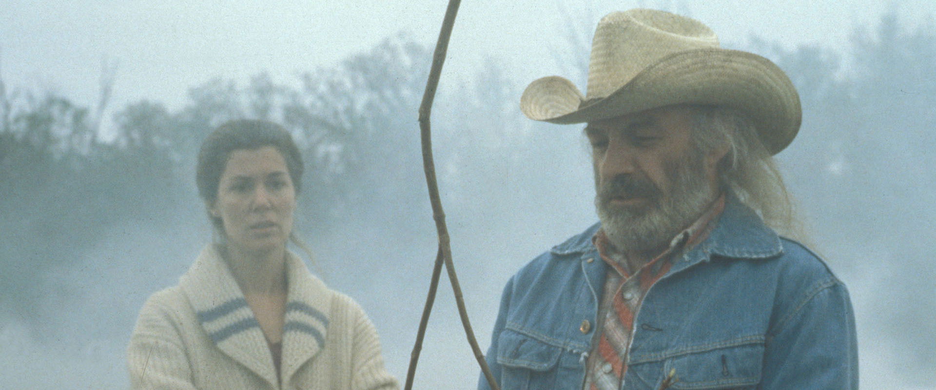 The Diviners's banner image