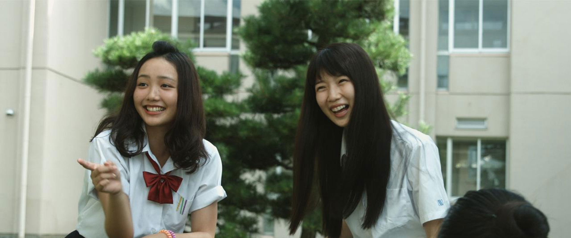 Kalanchoe's banner image