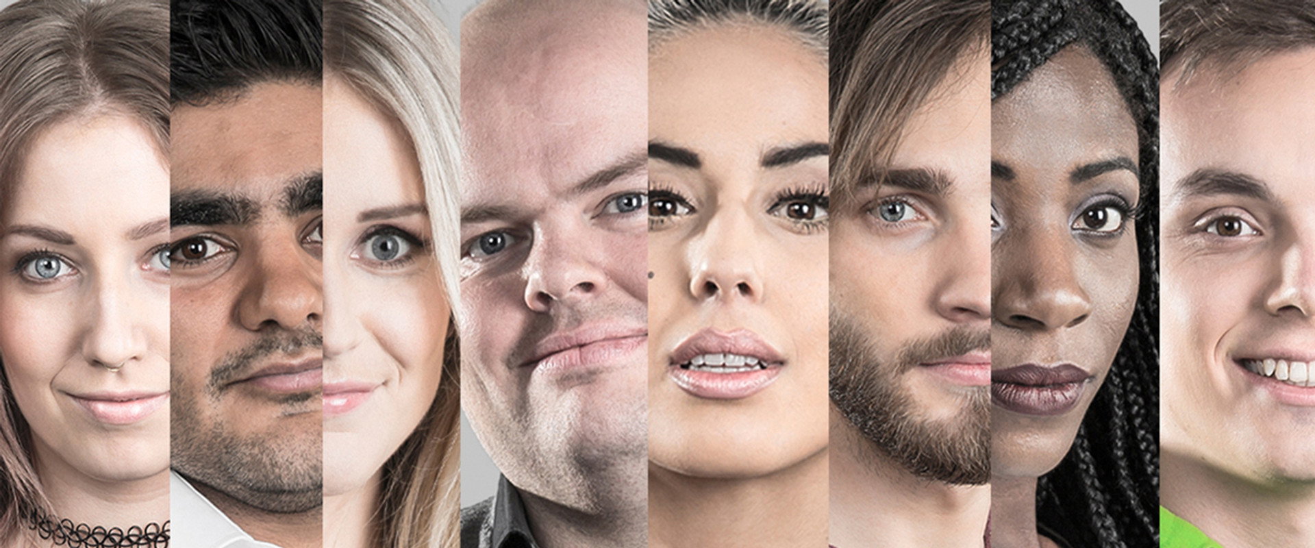 Diktaturet's banner image