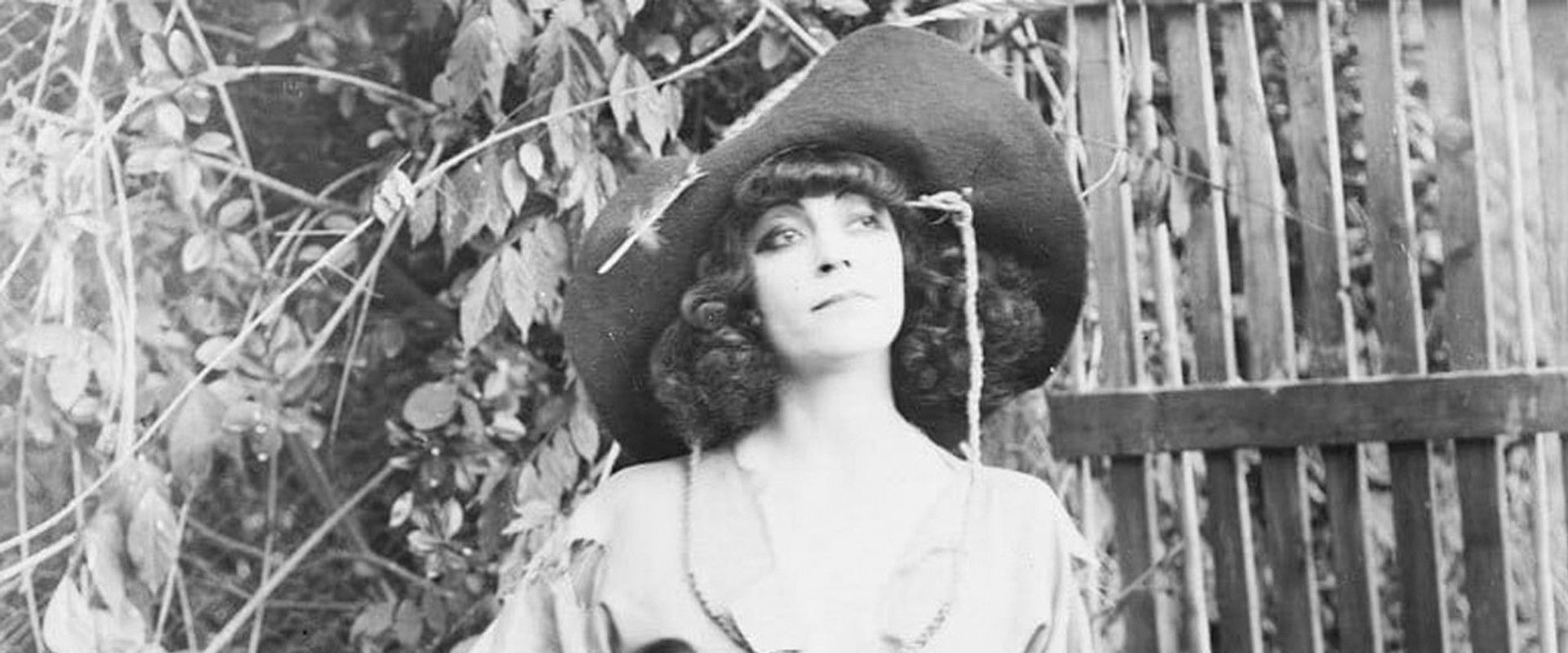 Zapata's Gang's banner image