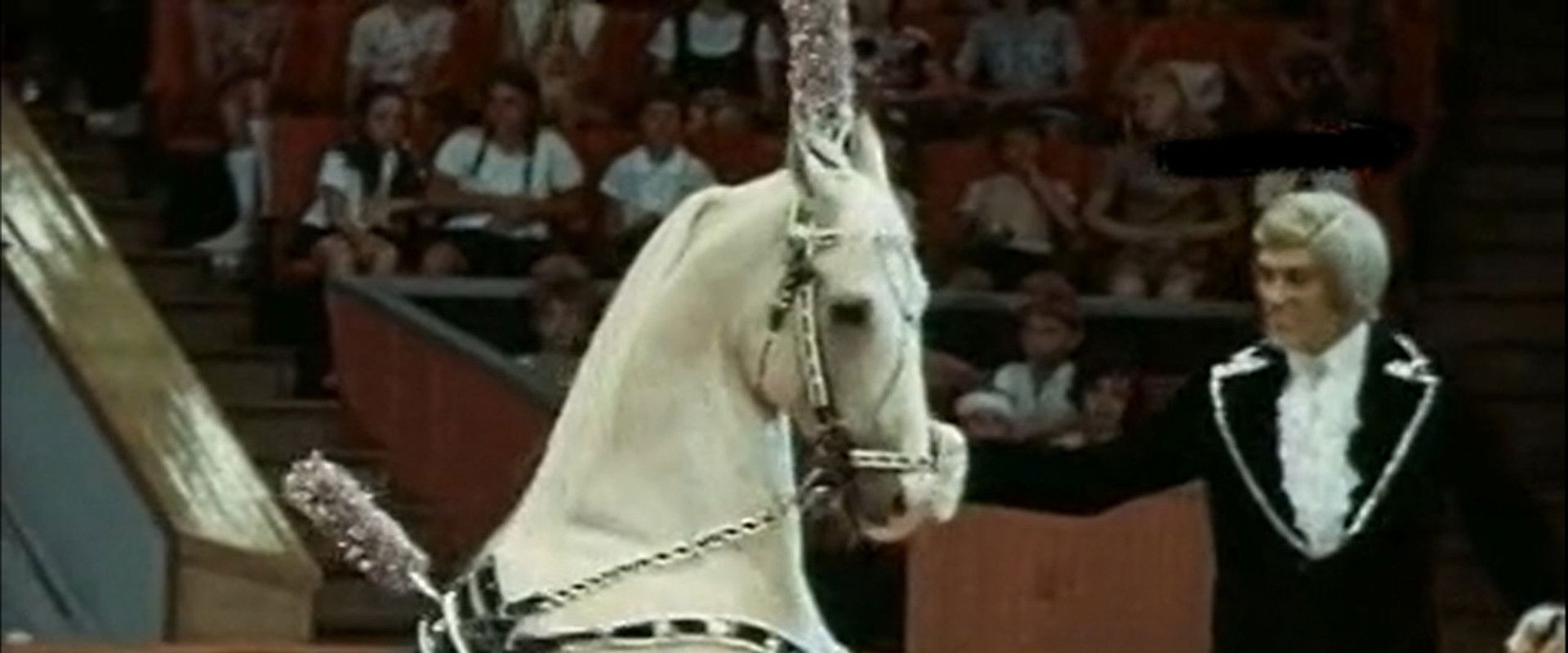 Trainers's banner image