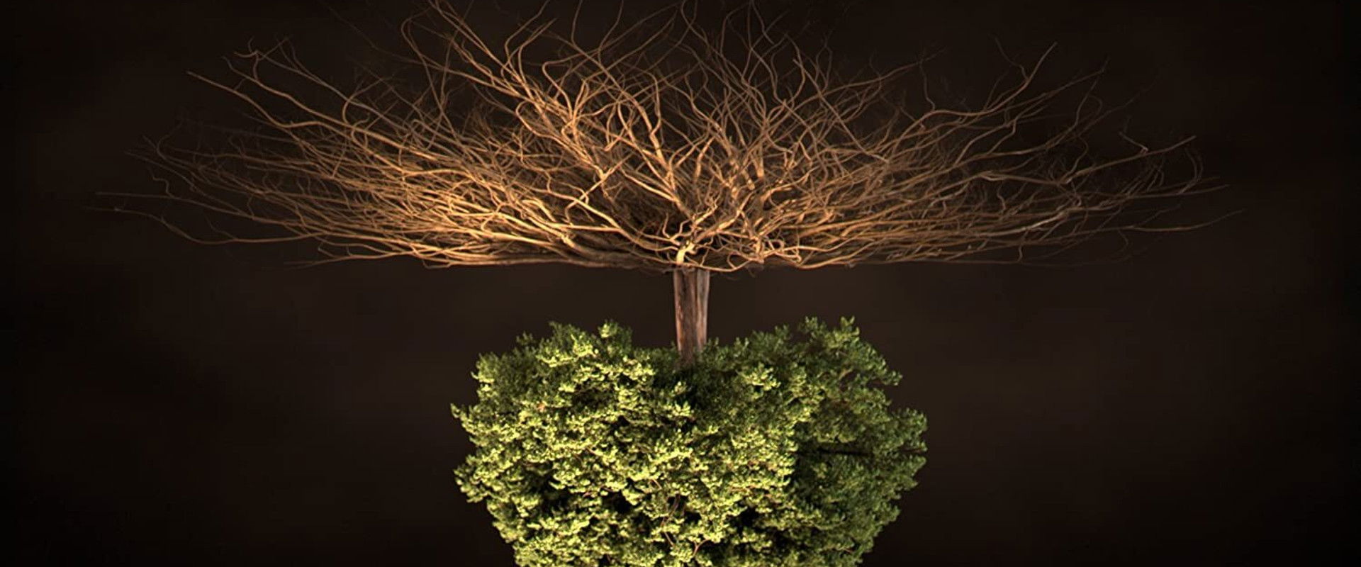 Voyage sous nos pieds's banner image