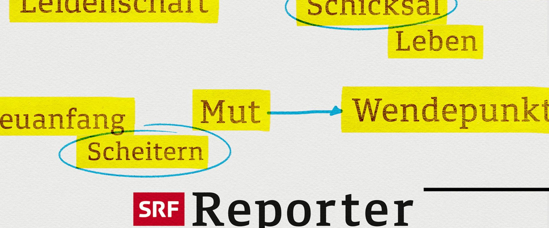 Reporter's banner image