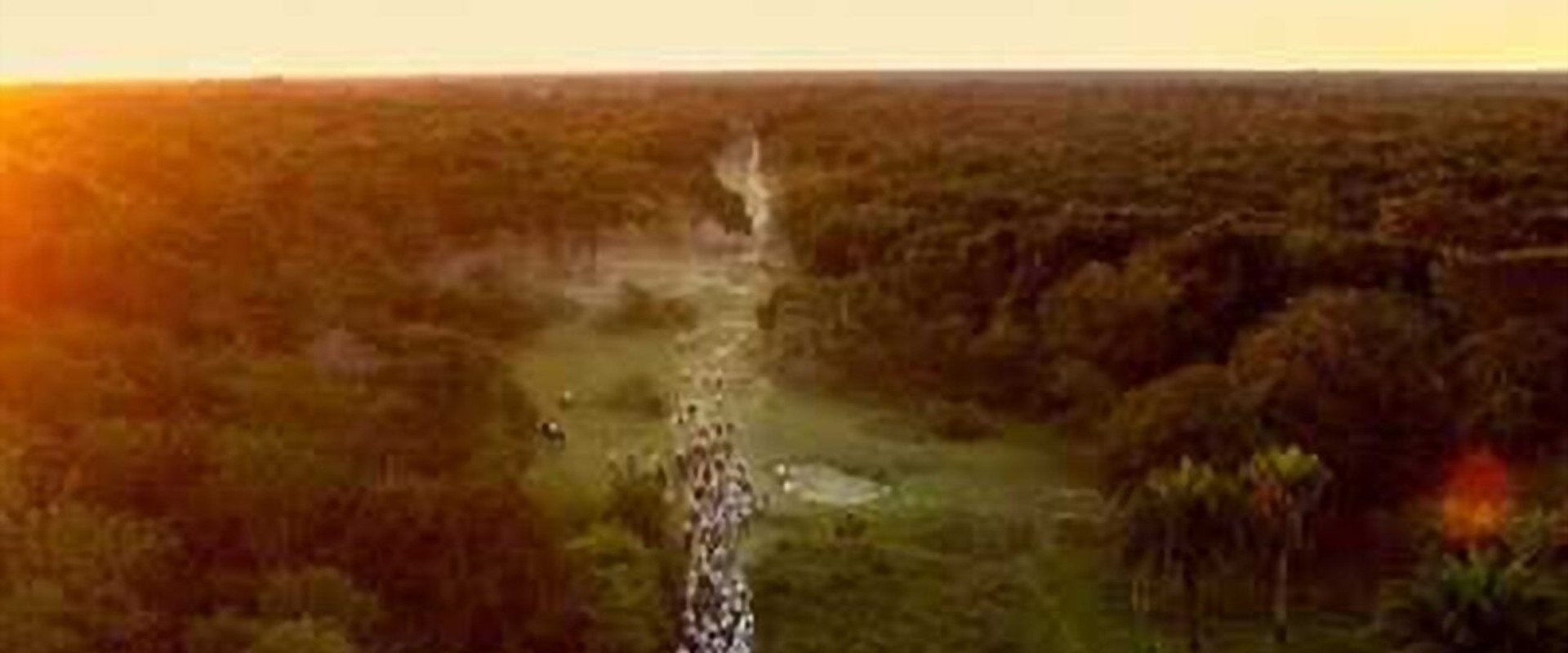Pantanal: The Good Innocence of Our Origins's banner image