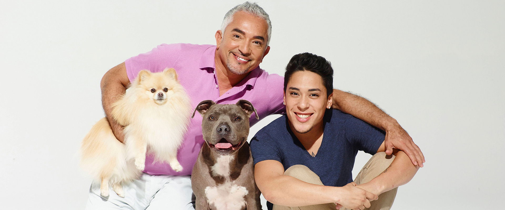 Cesar Millan's Dog Nation's banner image