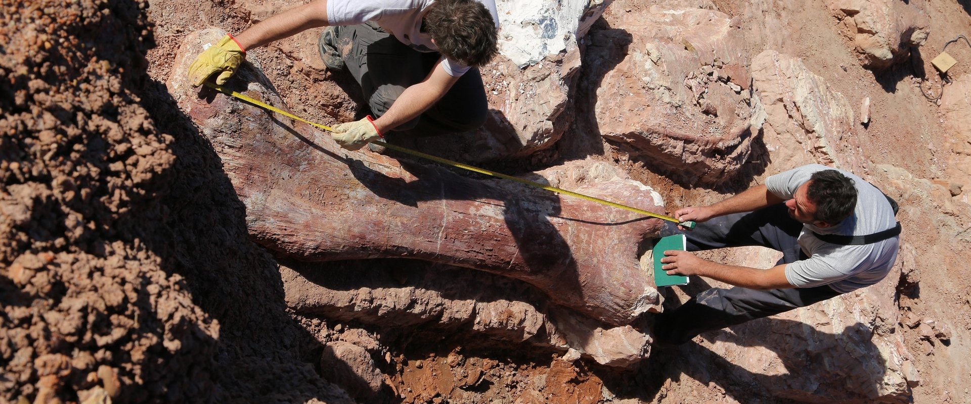 Attenborough and the Giant Dinosaur