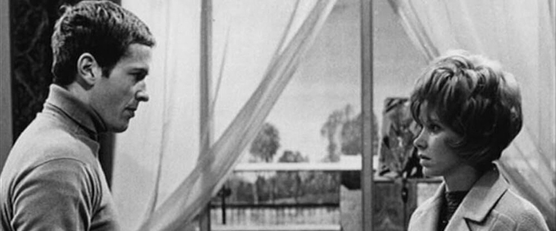 Satisfaction Guaranteed's banner image