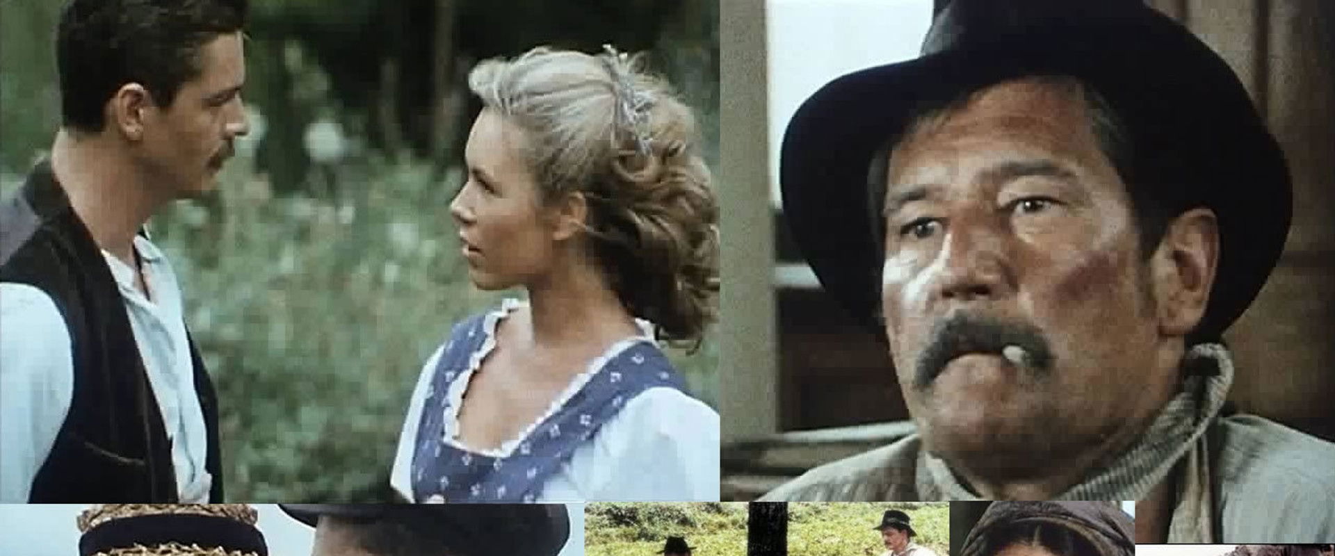 Des grives aux loups