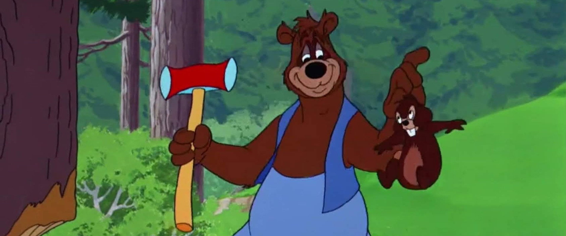 Busybody Bear's banner image